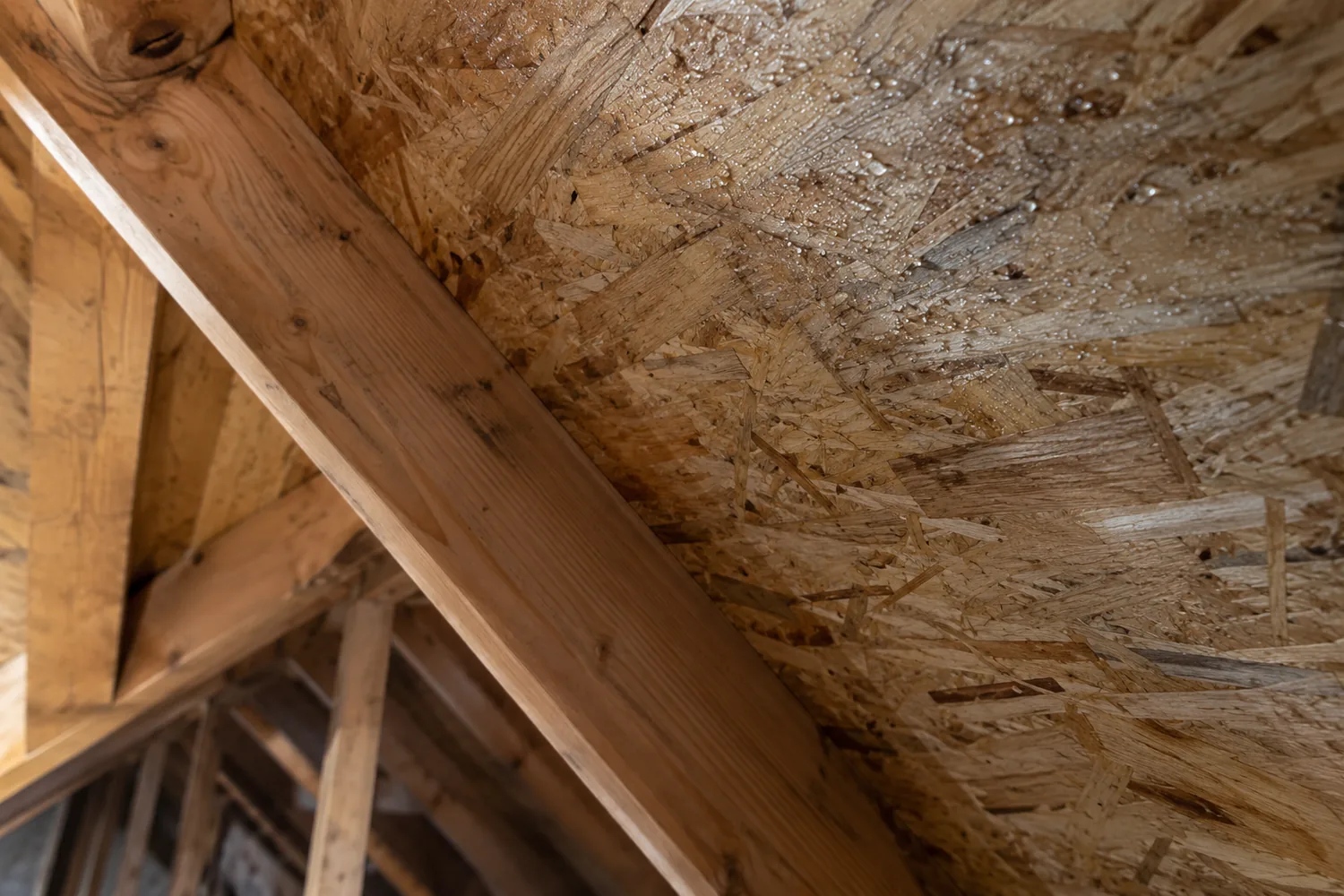 Small water droplets visible on attic roof sheathing beside a timber rafter.